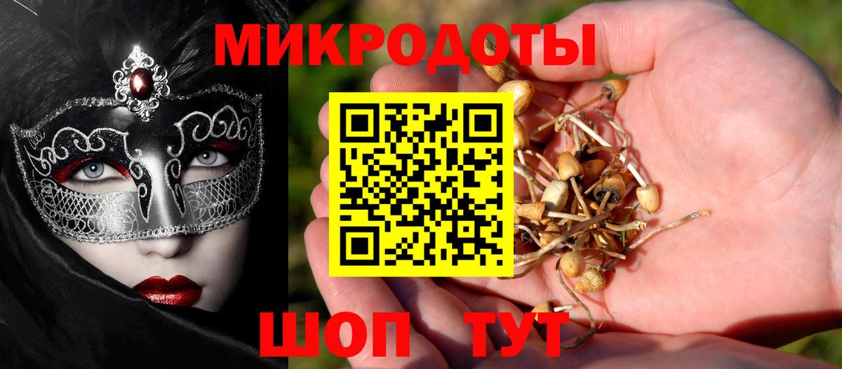Россошь  Галлюциногенные грибы Cubensis  Вход с VPN 